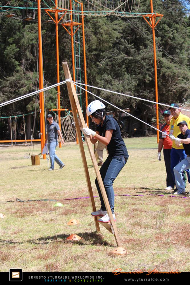 Cuerdas Altas y Talleres de Cuerdas Bajas | Team Building Empresarial para el desarrollo de equipos de trabajo