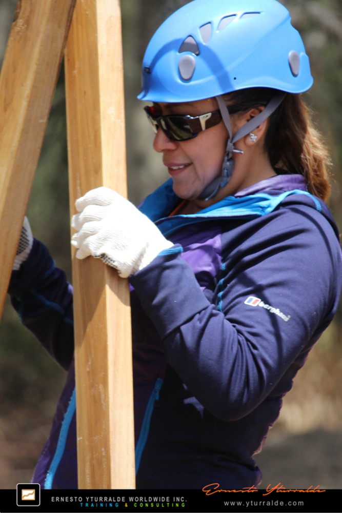 Cuerdas Altas y Talleres de Cuerdas Bajas | Team Building Empresarial para el desarrollo de equipos de trabajo